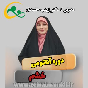 دوره آناتومی خشم